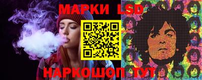 гидропоника Будённовск