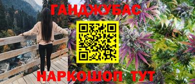 гидропоника Будённовск