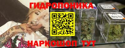 гидропоника Будённовск