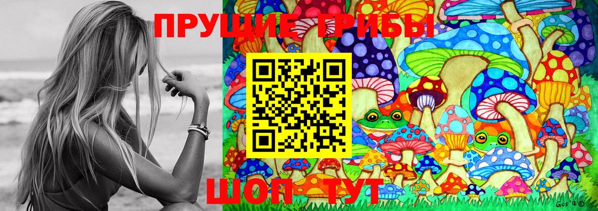 Галлюциногенные грибы Psilocybine cubensis  Вход с VPN  Искитим  Псилоцибиновые грибы Psilocybe 