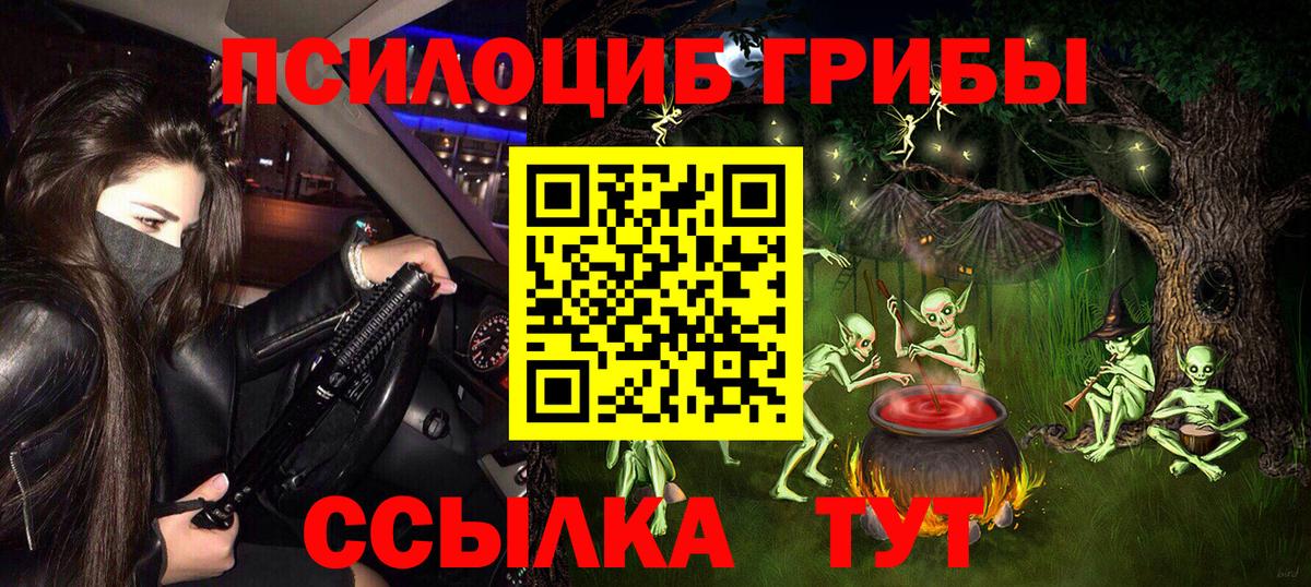 Псилоцибиновые грибы Psilocybine cubensis Искитим