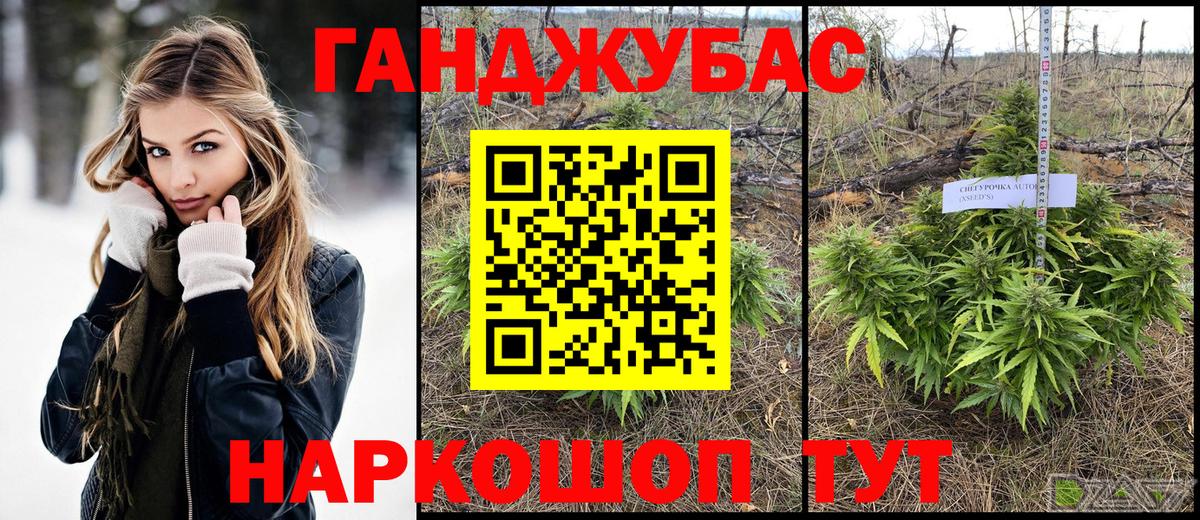 Каннабис SATIVA & INDICA Искитим
